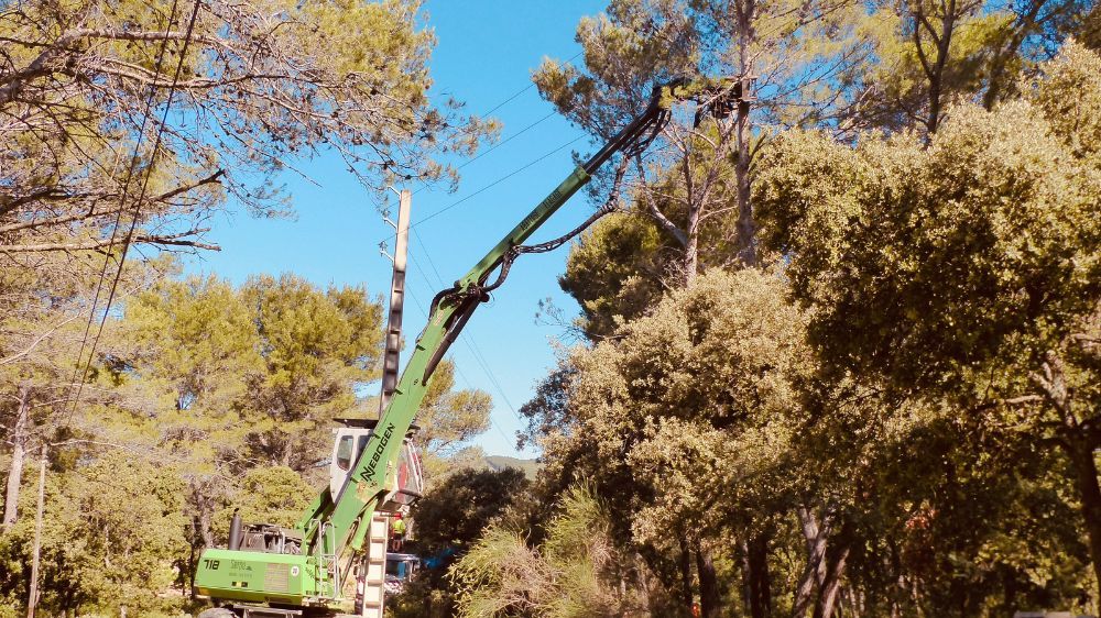 Aix en Provence : arrachage et destruction de souches